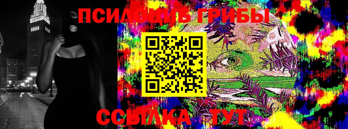 Наро-Фоминск  Галлюциногенные грибы MAGIC MUSHROOMS  Вход с VPN 